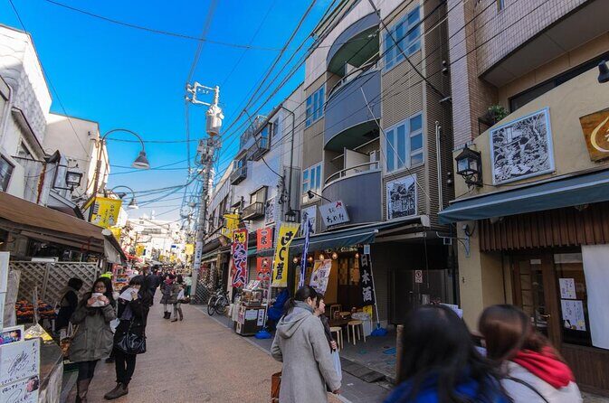 Yanaka Historical Walking Tour in Tokyo's Old Town - Key Things I’d Watch for Before You Go