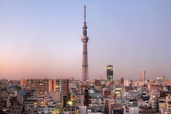 1 Day Private Charter Tokyo Tour (Green Number Plates) - Key highlights at a glance