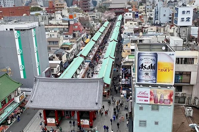 1 Day Private Charter Tokyo Tour (Green Number Plates) - Best fit: who this tour suits