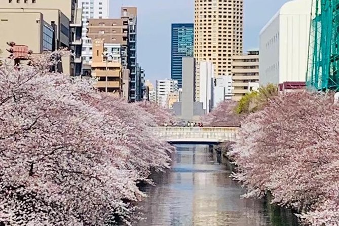 1 Day Private Charter Tokyo Tour (Green Number Plates) - Price and value: $400 for a group up to 5