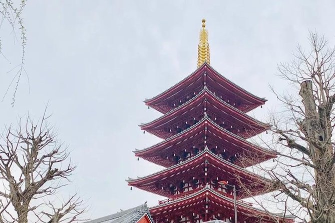 1 Day Private Charter Tokyo Tour (Green Number Plates) - Should you book this one-day Tokyo charter?