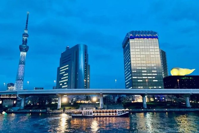 1 Day Private Charter Tokyo Tour (Green Number Plates) - Guides and customization: what you should expect from the human part