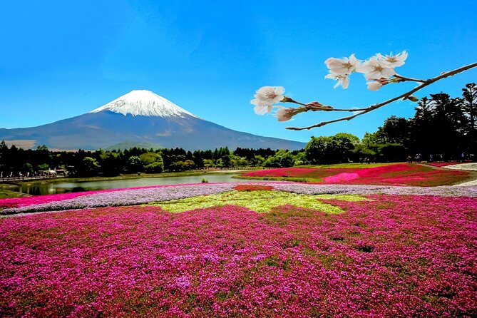 Full Day Private Tour in Mt. Fuji and Hakone - Tokyo Pickup and Return: Less Time Moving, More Time Seeing