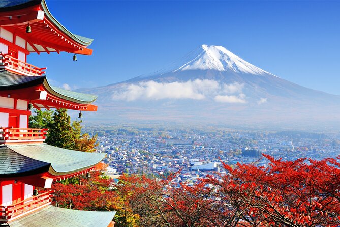 Full Day Private Tour in Mt. Fuji and Hakone - Price and Value for a Group Up to 4