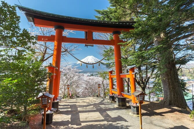 Mount Fuji Sightseeing Private tour w English speaking chauffeur - The Core Route: From Oshino Hakkai Ponds to Lake Yamanaka Views