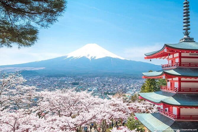 Mount Fuji Sightseeing Private tour w English speaking chauffeur - Narusawa Ice Cave: Cool Comfort in the Middle of a Warm Day