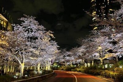 Tokyo Night Bike Tour: From Shibuya to Tokyo Tower via Roppongi - Meeting at Umayamichi Park (Shibuya) and Rolling Right on Time