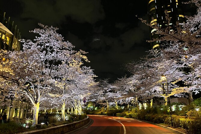 Tokyo Night Bike Tour: From Shibuya to Tokyo Tower via Roppongi - Meeting at Umayamichi Park (Shibuya) and Rolling Right on Time